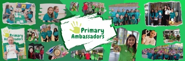 Primary Ambassadors Banner